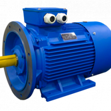 200/3000 АИР 315М2УХЛ2  исп 1081 эл. двигатель